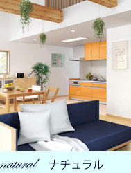 �ʥ�����